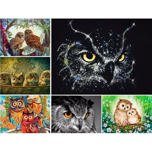 5D DIY Diamond Painting Full Square Owl Cross Stitch Kits Diamond Mosaic Picture of Rhinestones Decor Diamond Embroidery Animal