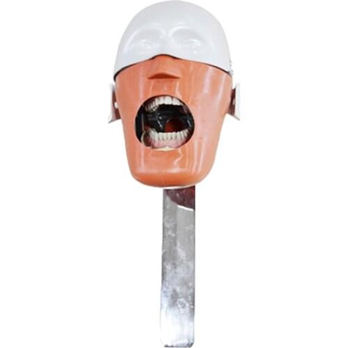 Dental Phantom Head Simulation Dental Training Teeth Head Model Install To Dental Chiar Dentist Practise Model