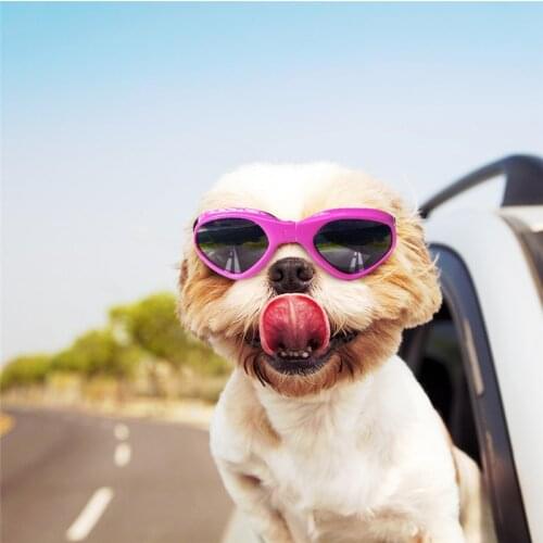 Pet Dog Glasses Foldable Sunglasses For Small Medium Dogs Supplies Shock Proof Ski Goggles Dog Eye-wear Pet Accessories