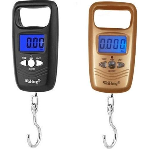 Mini Electronic Portable Scale Fishing Spring Electronic Scale Express Luggage Scale 50 kg