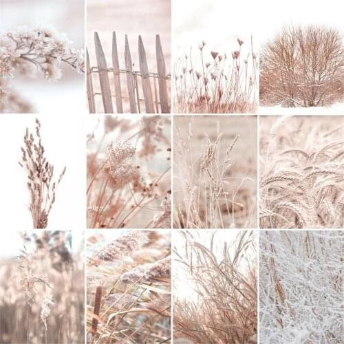 GATYZTORY DIY Painting By Numbers For Adults Pink Flowers Picture By Numbers Handpainted Oil Painting For Home Decors Crafts Kit