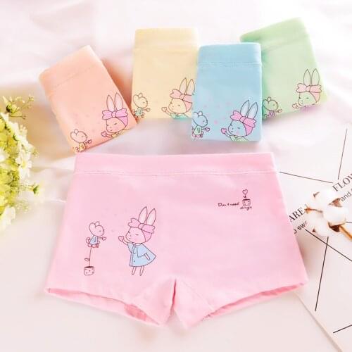 4PCS/LOT Children Girls Underpants Lovely Cotton Kids Panty For 2-10Yrs