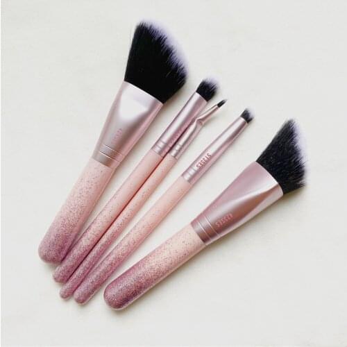 NEW Advanced Brusk Kit - LUXE Pink Holiday 2020 - Dazzle on-go Travel Makeup Brush Set
