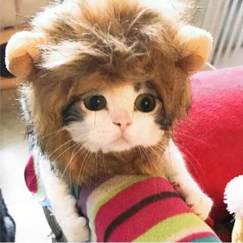 Cosplay Cat Clothes Pet Small Dog Cats Costume Lion Mane Wig Cap Hat for Cat Dogs Halloween Christmas Dress Pet Supplies
