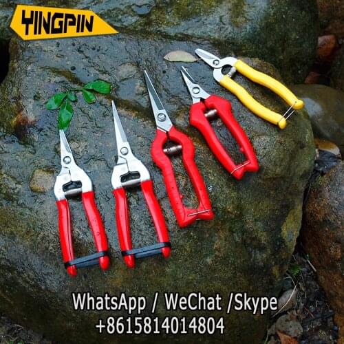 Garden Scissors Grafting Tool Fruit Tree Pruning Shears Bonsai Pruner Gardening Secateurs Grafting Shears