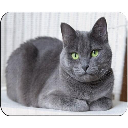 MERCHANDMANIA large Russian blue cat mat very cute for raton computer pc laptop accessory custom