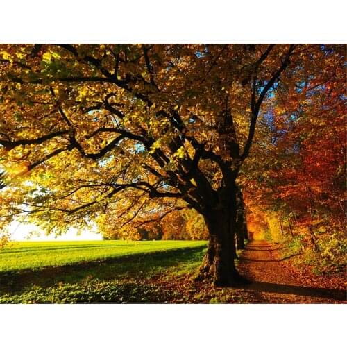 5D DIY Diamond Painting Rhinestone Pictures Of Resin Embroidery Kits Arts, Crafts & Sewing Cross Stitch Tree