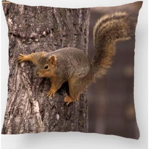 Squirrel Ready To Flee Photo Throw Pillow Case Decorative Cushion Cover Pillowcase Customize Gift By Lvsure For Car Sofa Seat
