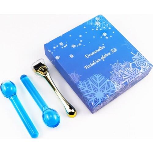 DRS 540 leather Roll Titanium alloy for facial machine skin care microneedle roller Ice Wave Beauty Ball Set beauty care tool