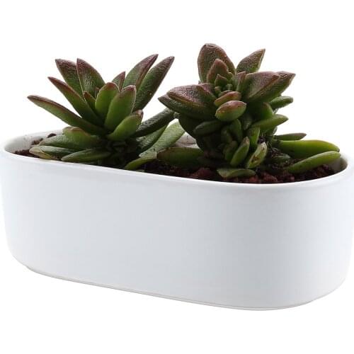 Ceramic White Modern Oval Design Succulent Cactus Plant Pot Flower Pot/container/planter