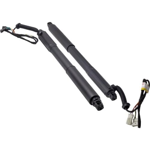 Rear Left Right Boot Cargo Area Gas Spring Strut Auto Tailgate FOR BMW X5 E70
