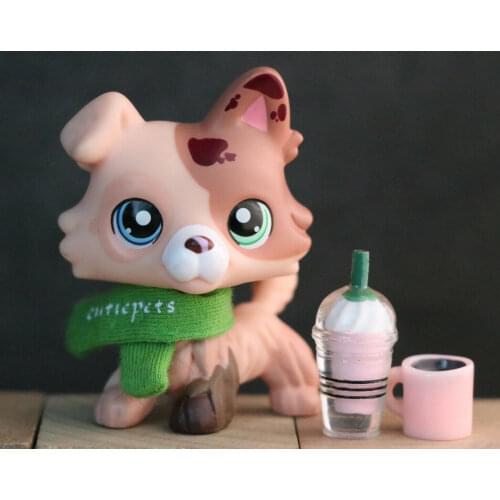 Pet Custom Erect Ear Dog Collie Dog With 3 Accessories lot Scarf Drinks