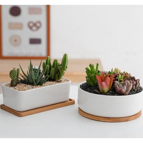 Simple Succulents White Porcelain Flower Pots Round Rectangular Refreshing Ceramic Pots Balcony Green Planting Home Garden