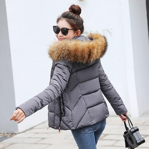 Winter Jacket Women Fake fur collar downParka cotton jacket 2019 thick Snow Wear Coat Lady Clothing Female Jackets Parkas