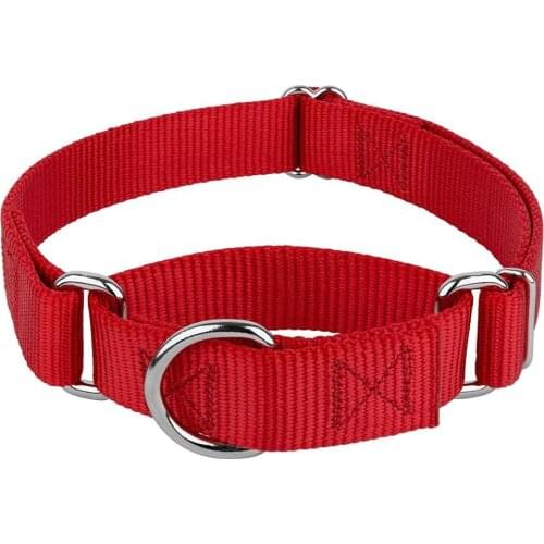 LHUANG Personalized Pet Collars Kingtale Training Choke Nylon Martingale Dog Collars