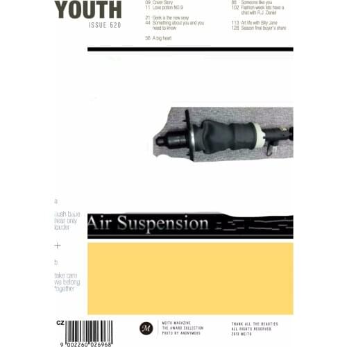 Air Spring 4Z7616052A 4Z7513032A 4Z7616020A Air Suspension For AUDI A6/C5 4B REAR RIGHT Or Right ALLROAD QUATTRO AVANT