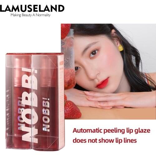 Mousse Texture Lip Gloss Velvet Liquid Lipstick 3.7g N2101