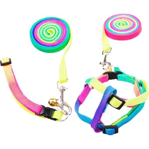 CMinYP Animal Decorations