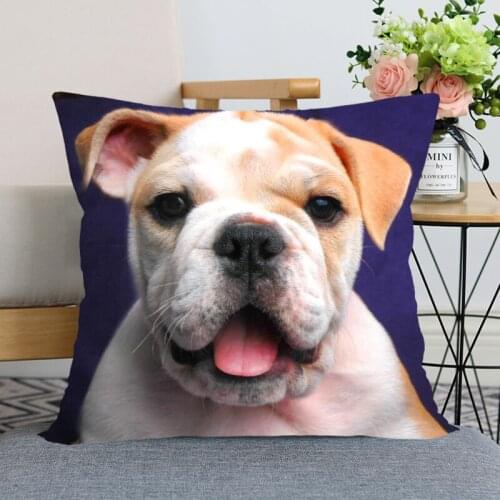 Custom Pillowcase Bulldog Dog Animal Square Zippered Pillow Cover Satin Fabric Home Decorative 35X35,40x40,45x45cm(One Side)