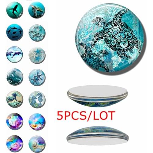 5PCS/SET Sea Turtle Dolphin Seashells Photo 12/16/20/25/30mm Glass Cabochon Jewelry DIY Pendant Jewelry Findings Accessories