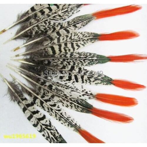 Free shipping wholesale 50pcs high quality natural cover chicken feather 20-25cm / 8-10inch variety of decorative and collect