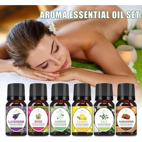 6Pcs Essential Oil Diffuser Pure Essential Oils Rose Eucalyptus Jasmine Vanilla Mint Sandalwood Tea Tree Aroma Oil Air Fresh