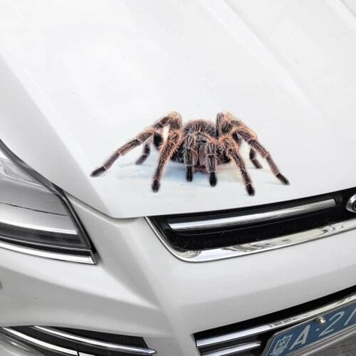 Insect Series Car Stickers 3D Spider Scorpion Chameleon Decal Motorcycle Scratch Waterproof Stickers auto stickers and decals