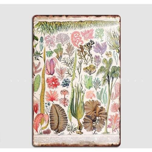 Adolphe Millot Algues French Vintage Metal Plaque Poster Wall Mural Wall Funny Painting Décor Tin Sign Poster