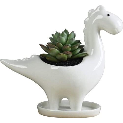 Dinosaur Ceramic Succulent Planter Pot with Drainage Tray Bonsai Cactus Flower Pot with Drain Hole Home Office Garden Decoratio