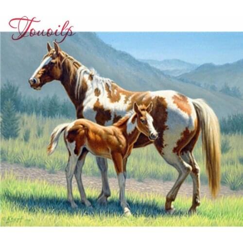 Kit de strass pour la peinture au point de croix, mosaïque animale à deux chevaux, broderie en diamant, motifs de couture