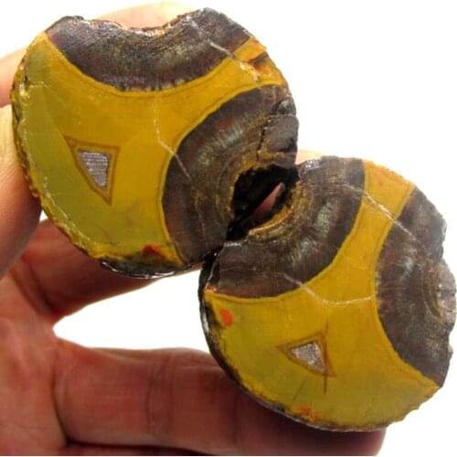 143g Pair of Unpolished Achat Agate Thunderegg Half Geode - crystals and stones healing Mineral specimen Home Decor x0493