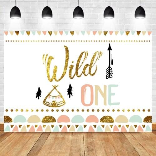 Wild One Party Background 1st Birthday Party Photography Backdrops Gold Boho Tribal Teepee Decoration Baby Birthday Party Banner