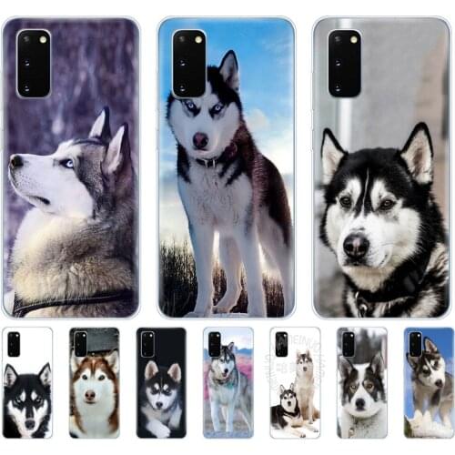 Silicon phone cover case for samsung galaxy S20 PLUS Ultra S10 lite cover for samsung note 10 plus lite fundas husky puppy dog