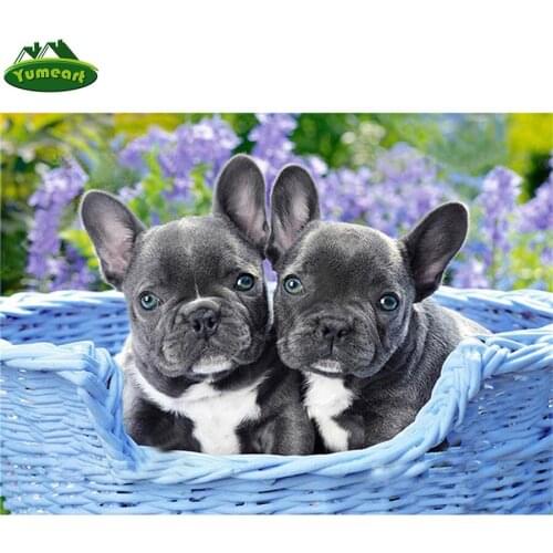 5D Diamond Painting Cross Stitch French Bulldog puppies Full Square DIY Diamond Embroidery crystal Picture Of Rhinestones Mosaic