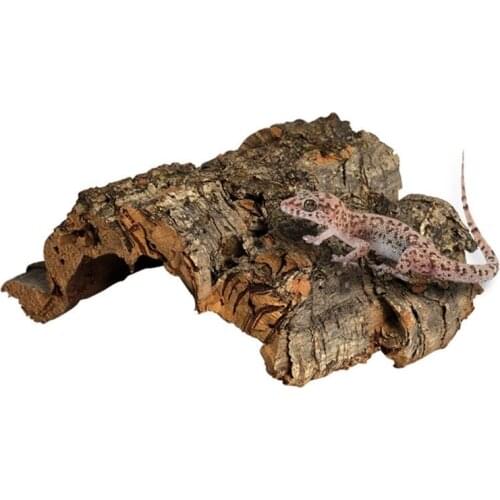 Reptile Climbing Cork Bark Natural Tree Wood Habitat Lizard Spider Small Animal Hiding Place Pet Supplies Terrariums Landscaping