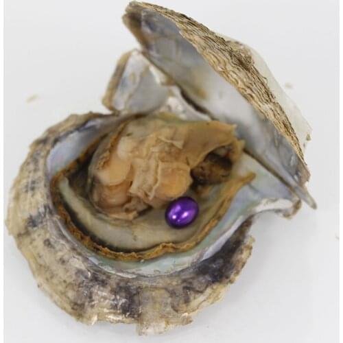 Wholesale 20pcs Noble Purple Saltwater Vacuum-packed Oyster Pearls for Jewelry Akoya Oyster Oval Pearls Birthday Gift FP269