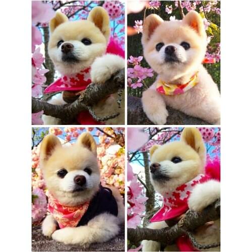 PDMDOG Full Square Round Diamond Painting Dog 5D DIY Diamond Embroidery Sale Animals Rhinestone Picture Sale Home Decoration