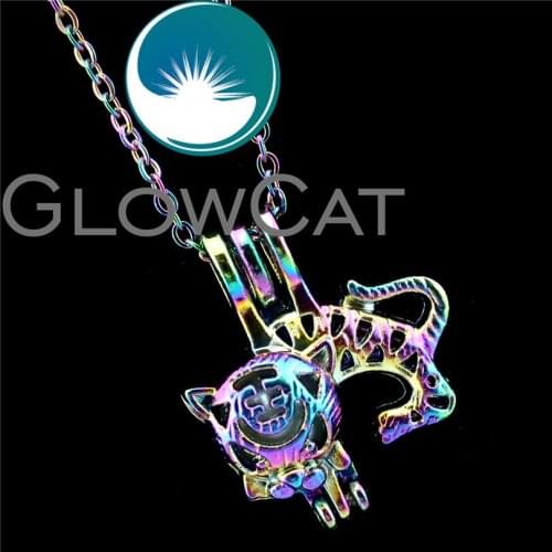 R-C721 Rainbow Colors Tiger Beads Cage Pendant Essential Oil Diffuser Aromatherapy Pearl Cage Locket Necklace