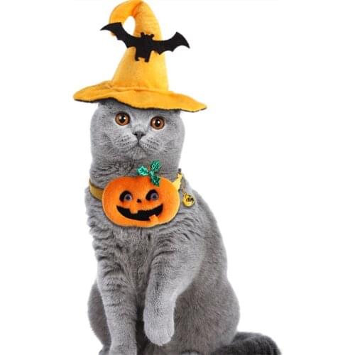 Pet Costume Suit for cat Halloween Set Collar for cat Dog Bat Hat for Cats Pumpkin Collar Pet Dog Accessories ошейник для кошек