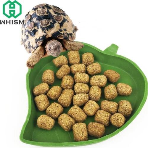 WHISM Plastic Reptile Feeder Dish Turtle Food Bowl Water Fountain Basin Terrarium Lizard Feeder for Amphibians Aquarium Supplies