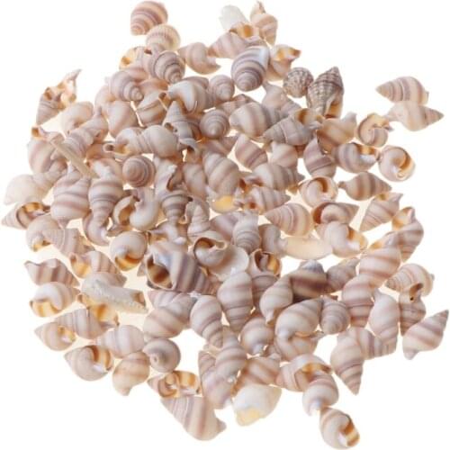 Natural Conch Shell Mini Conch Corn Screw Wall Decor Aquarium Landscape Seashell A0KD