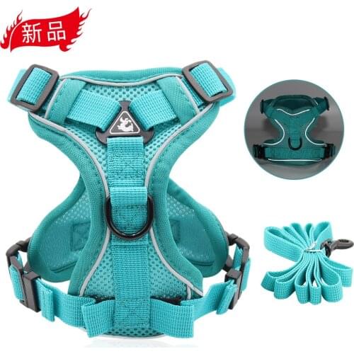 Padded Small Dog Collar and Leash Set Cat Vest Harnesses Leash Vest Pet Chest Strap Reflective Breathable Walking Cat Rope