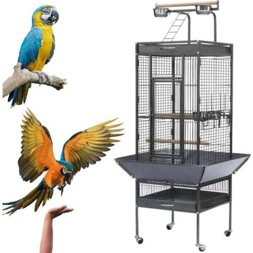 2 In 1 Plastic Watering Sprinkler Nozzle For Flower Waterers Bottle Watering Cans Sprinkler Portable Plant Irrigation Supplies