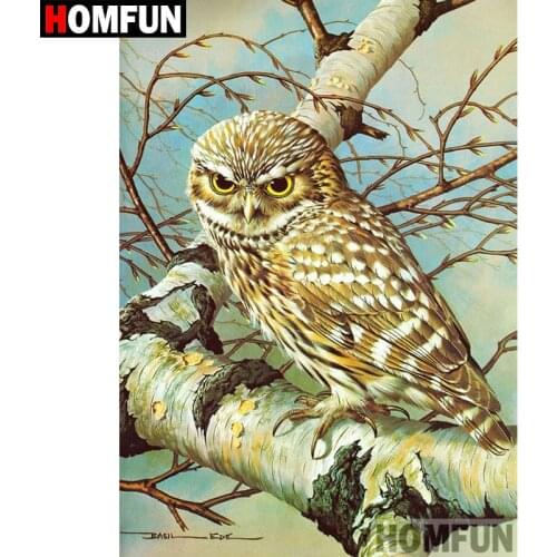 HOMFUN Full Square/Round Drill 5D DIY Diamond Painting "Animal owl" Embroidery Cross Stitch 5D Home Decor A07706