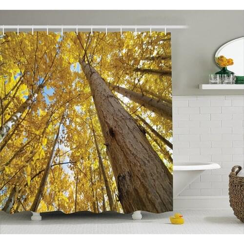 Forest Home Decor Shower Curtain up View of Fall Aspen Tree Leaves in Fade Tone Autumn Season Photo Image Fabric Bathroom Decor