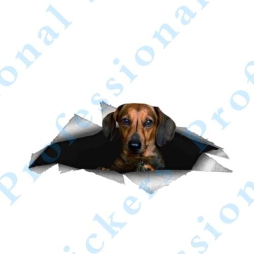 3D Animal 13 x 8.8 Black Shar Pei Sticker Torn Metal Vinyl Decal Lovely Car Stickers Motorcycle Trunk Animal 3D Car Styling