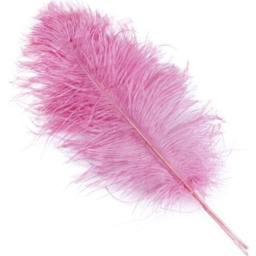 10Pcs 65-70Cm Rose Natural Ostrich Feather Dyed Plume Decoration Accessories For Wedding Carnival Feathers DIY Home Decor Crafts