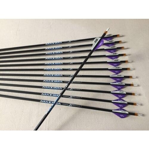 12pcs Archery carbon arrow 3K weave spine340 plastic vane arrow nock 100grain replaced point for compound bow hunting
