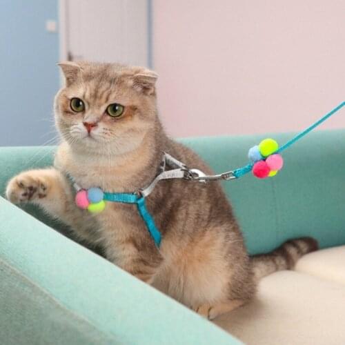 Fashionable Colorful Pompon Leash For Pets Practical and durable pet color traction rope with pompom Beautiful and cool simple