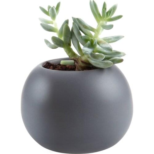 Ceramic Cameo Double Layer Howllow Design Succulent Cactus Plant Pot Flower Pot/container/planter Grey